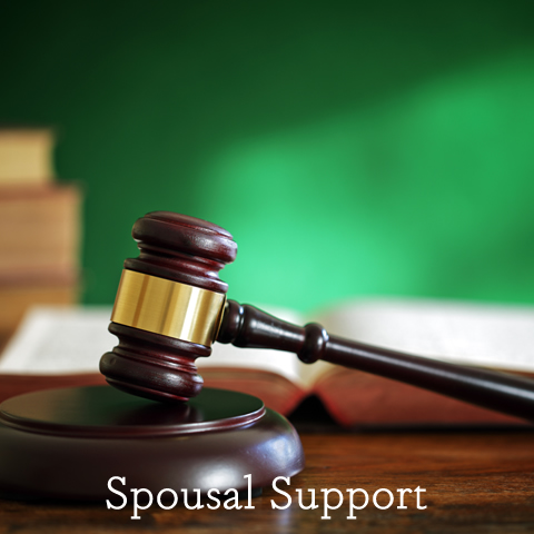 Spousal Support Lawyers